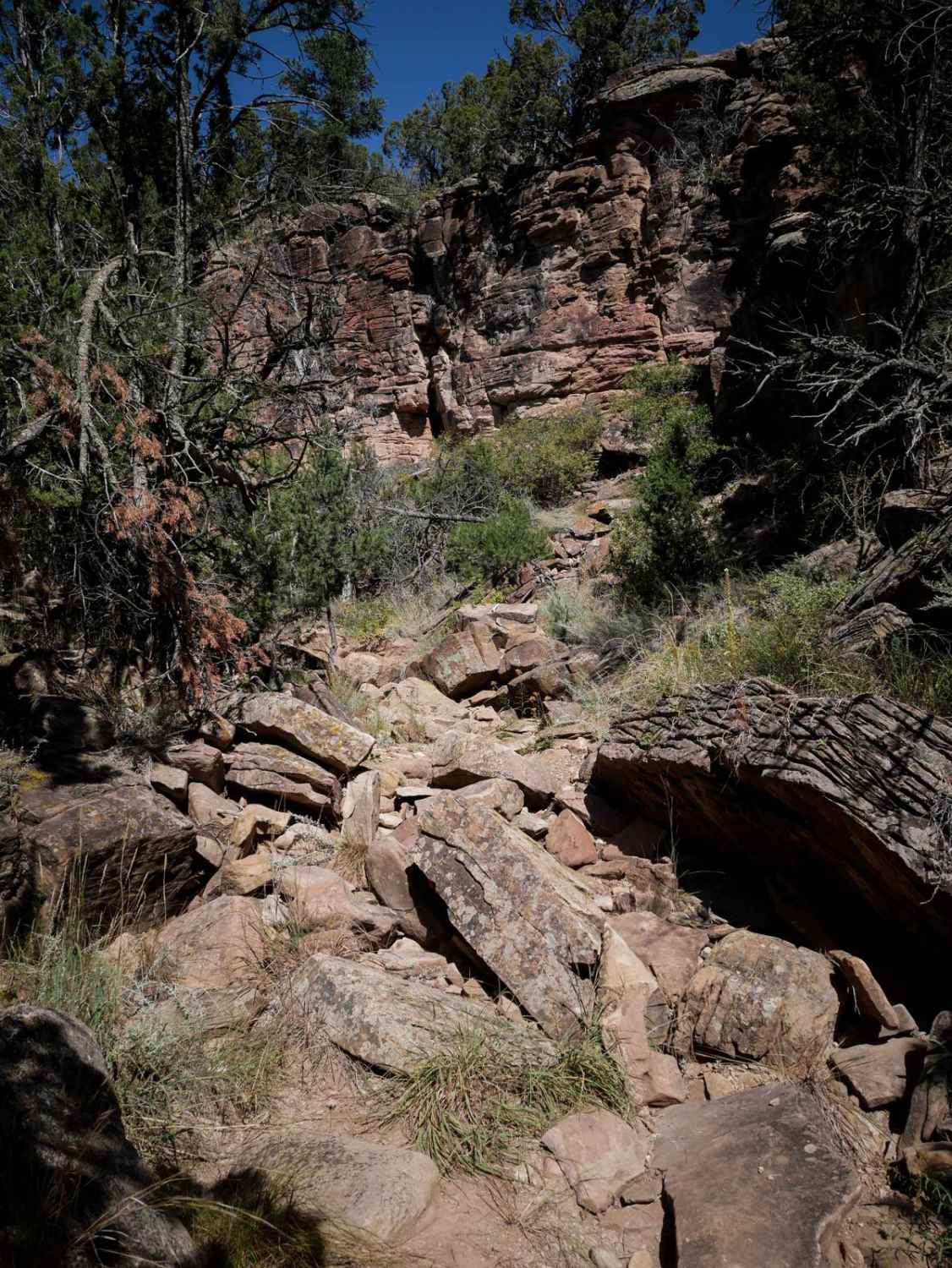Warmup Trail 