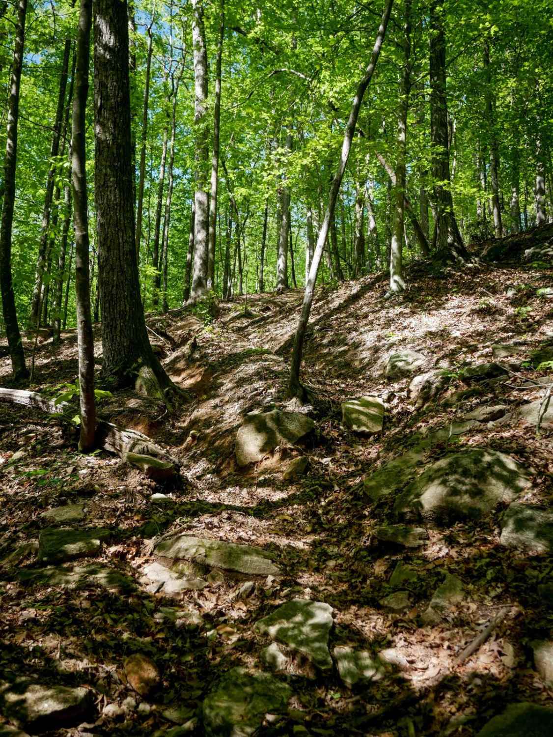 Enduro Trail