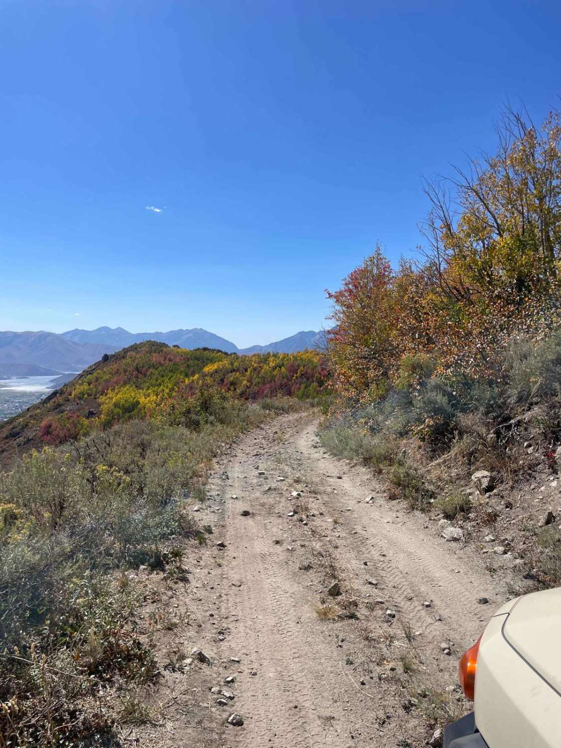 Polly Ridge