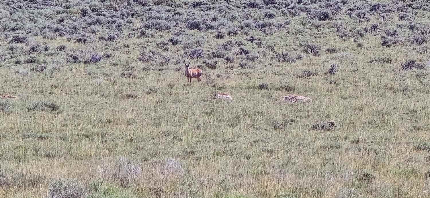 Challis to Spar Canyon via Lone Pine Peak