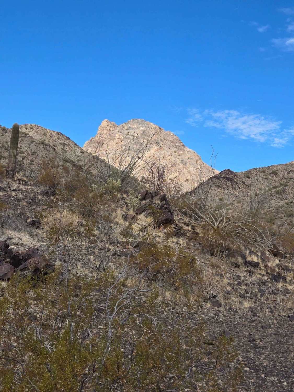 Round the Mountain Trail