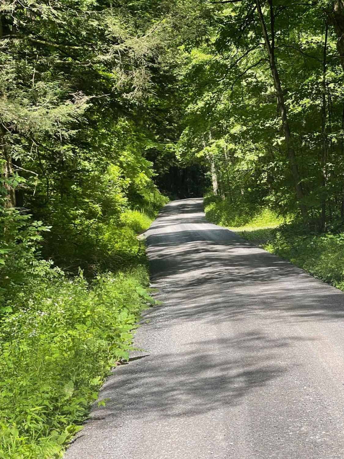 Herman Road