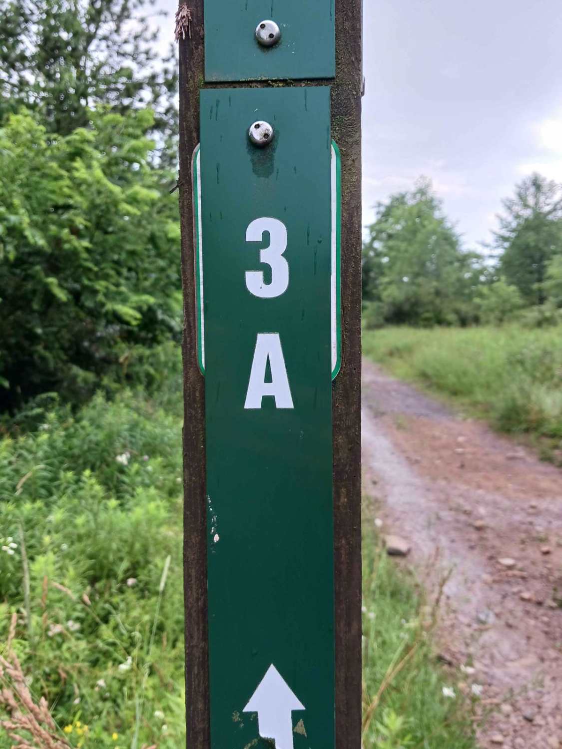 Trail 3A - Rock Run Recreation Area