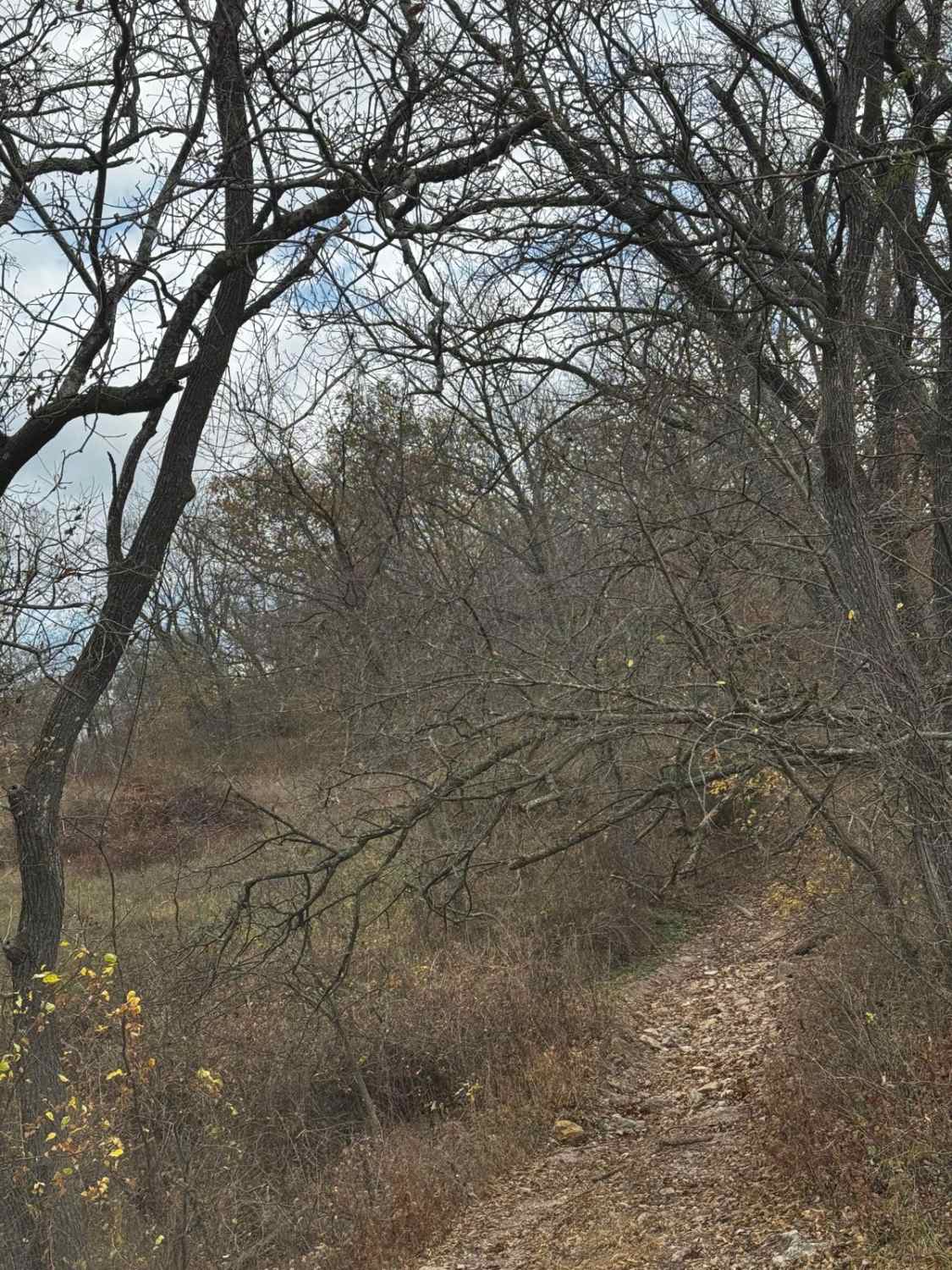 AXC Crossing 