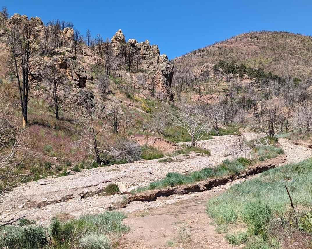 Johnny Canyon