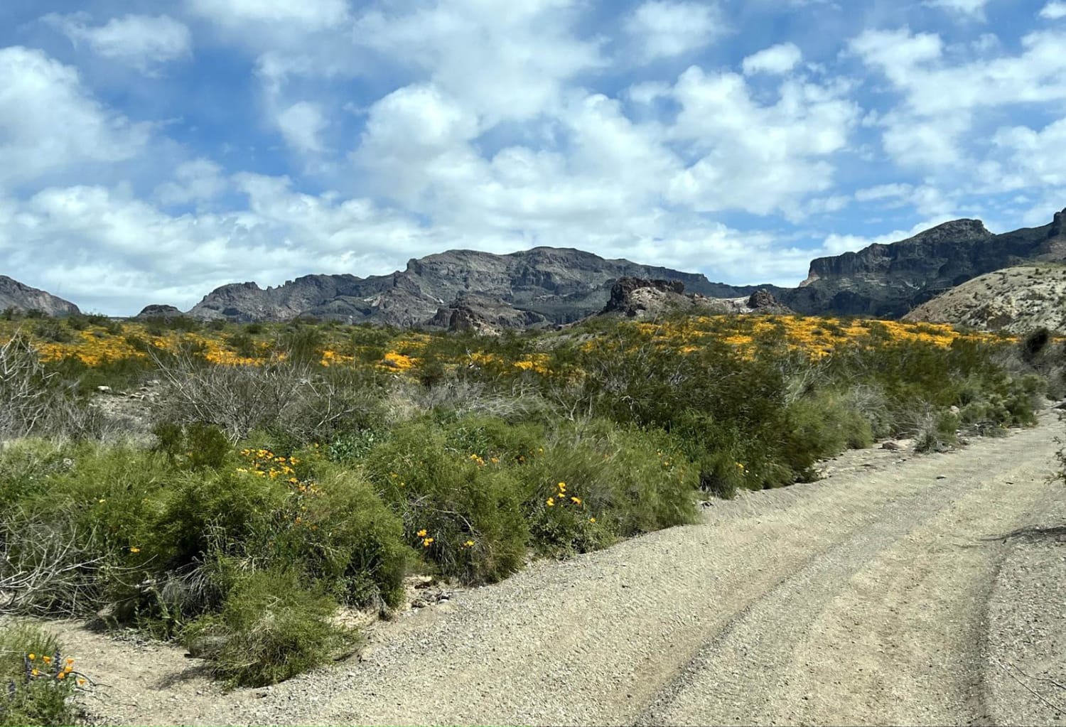 Buck Wash to Pass Canyon Connector