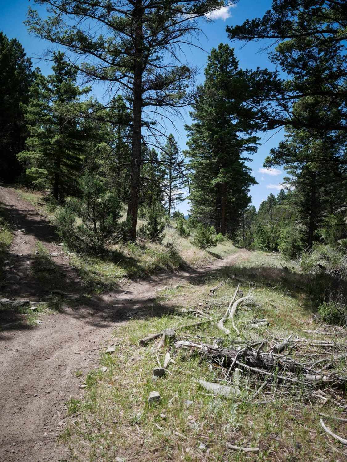 Track Turn 