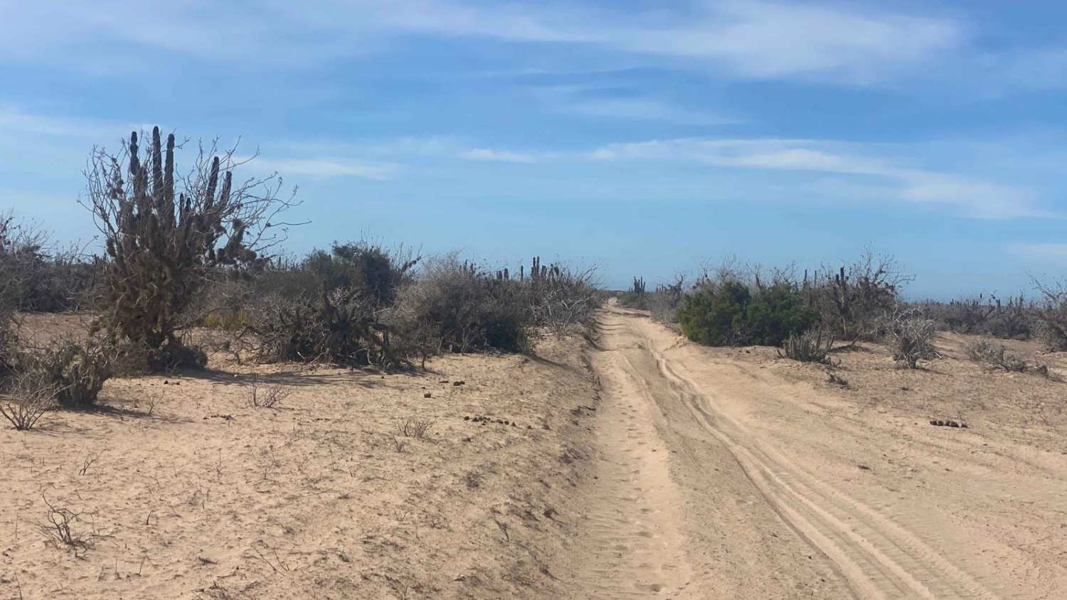 Los Inocentes NE Coastal
