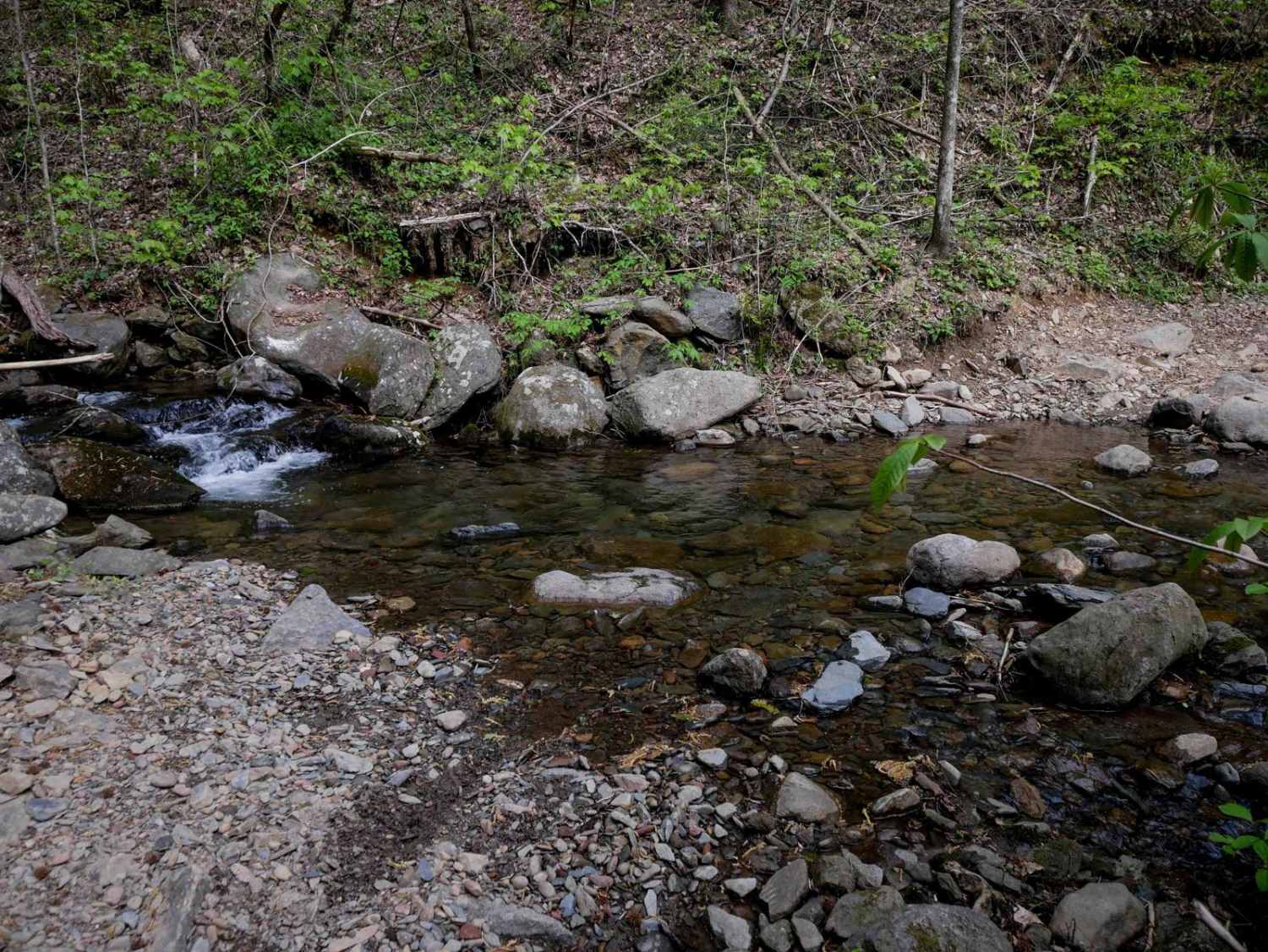 Milma Creek