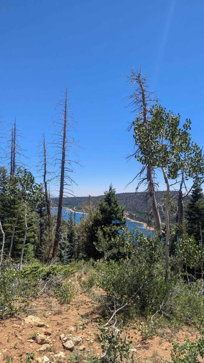 Lake View Loop