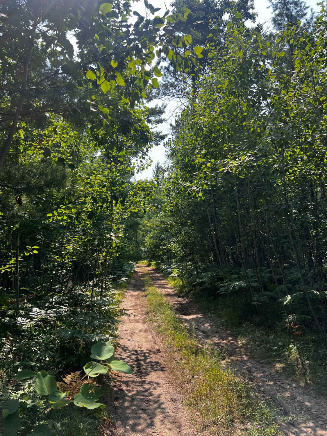 N 27 Trail
