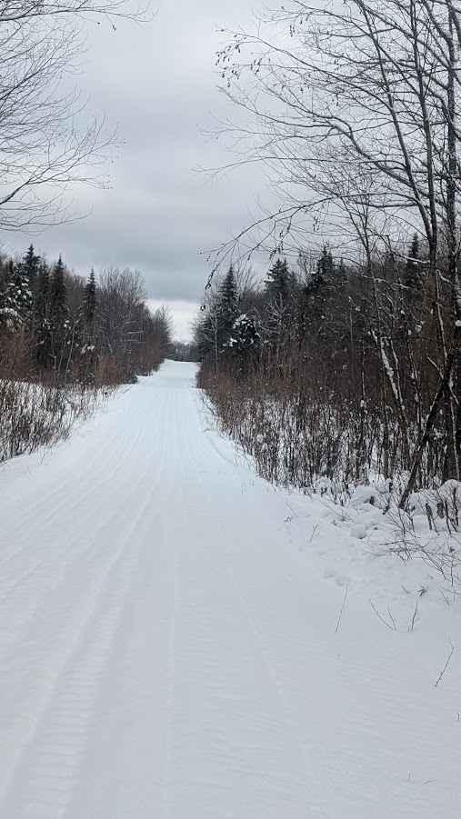 Little Owl Lake Trail
