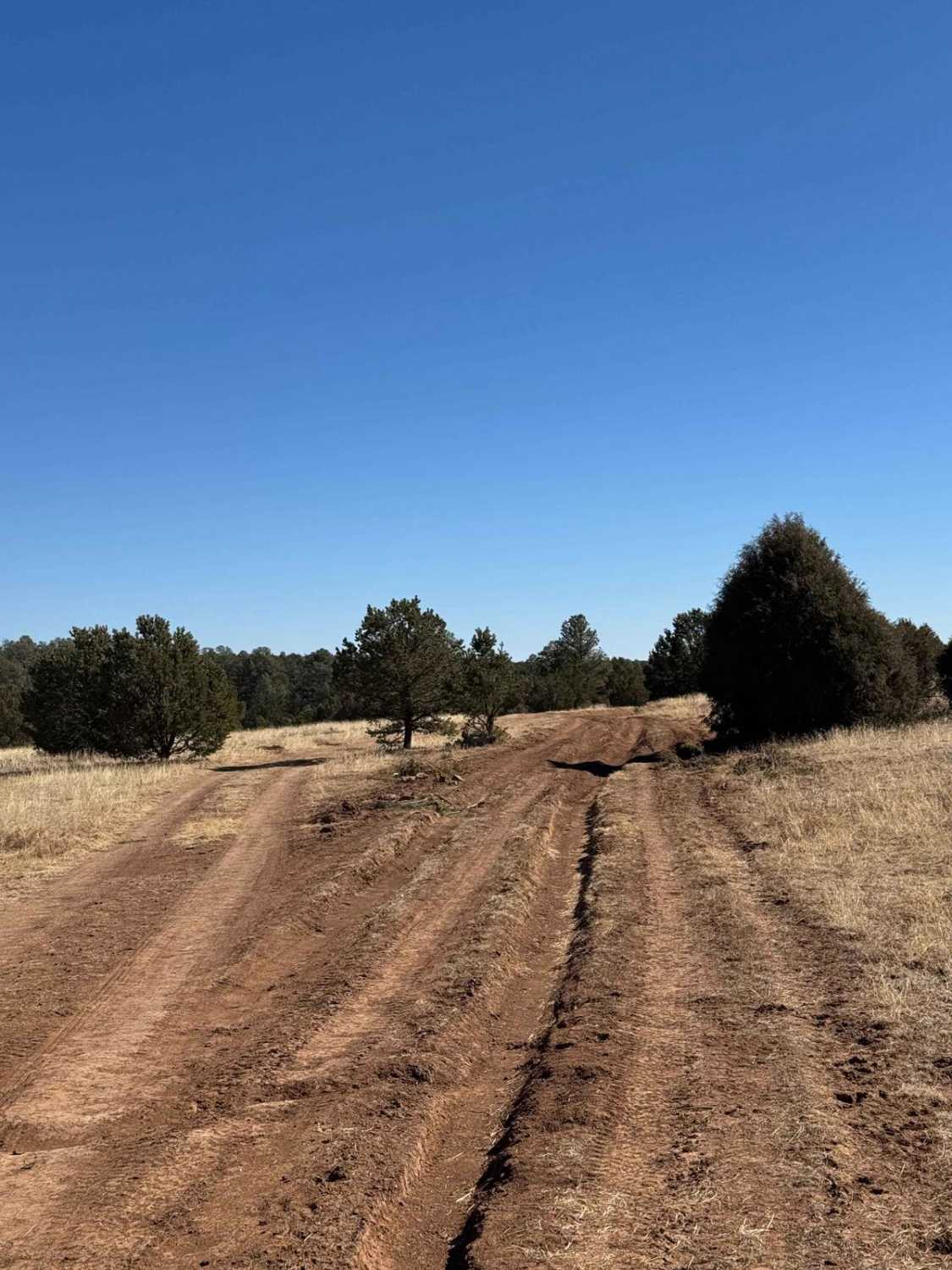 Glorieta Mesa