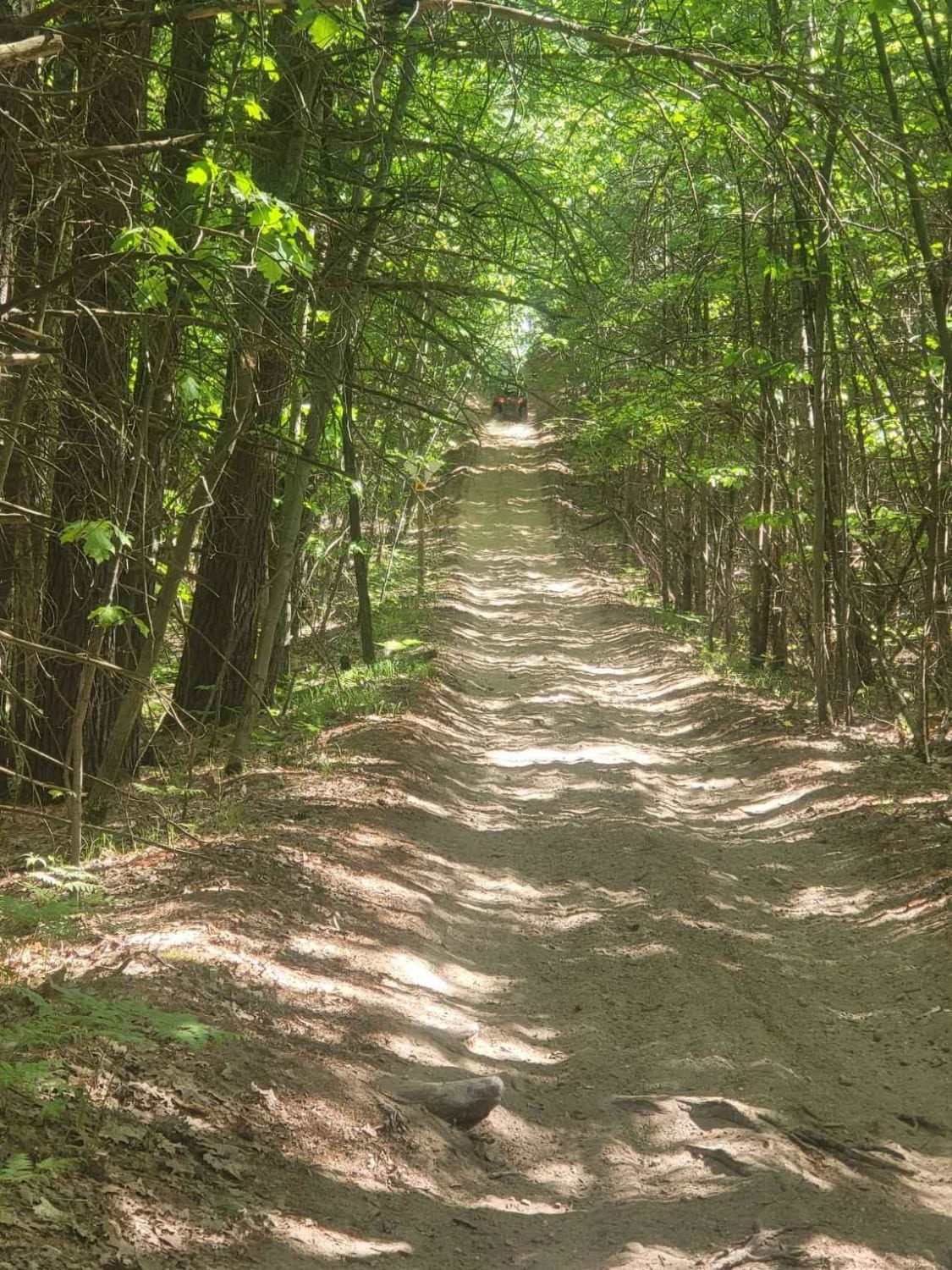 Ogemaw Hills ORV Route, Michigan OffRoad Trail Map & Photos onX Offroad