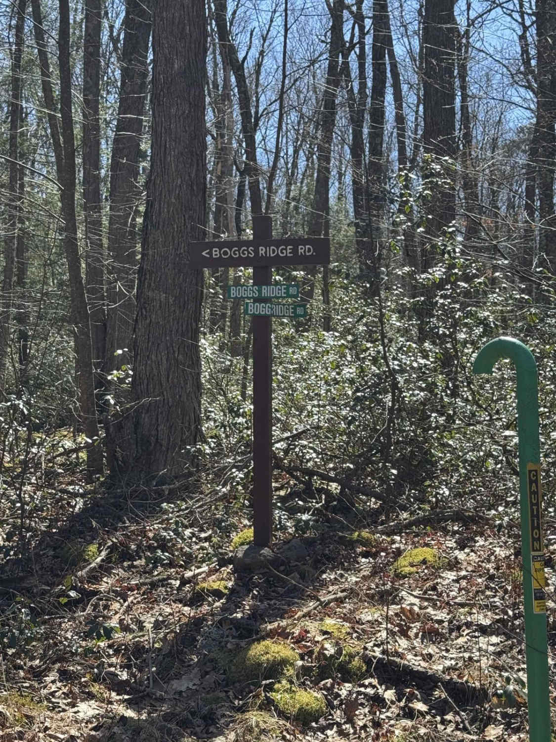Boggs Ridge Road