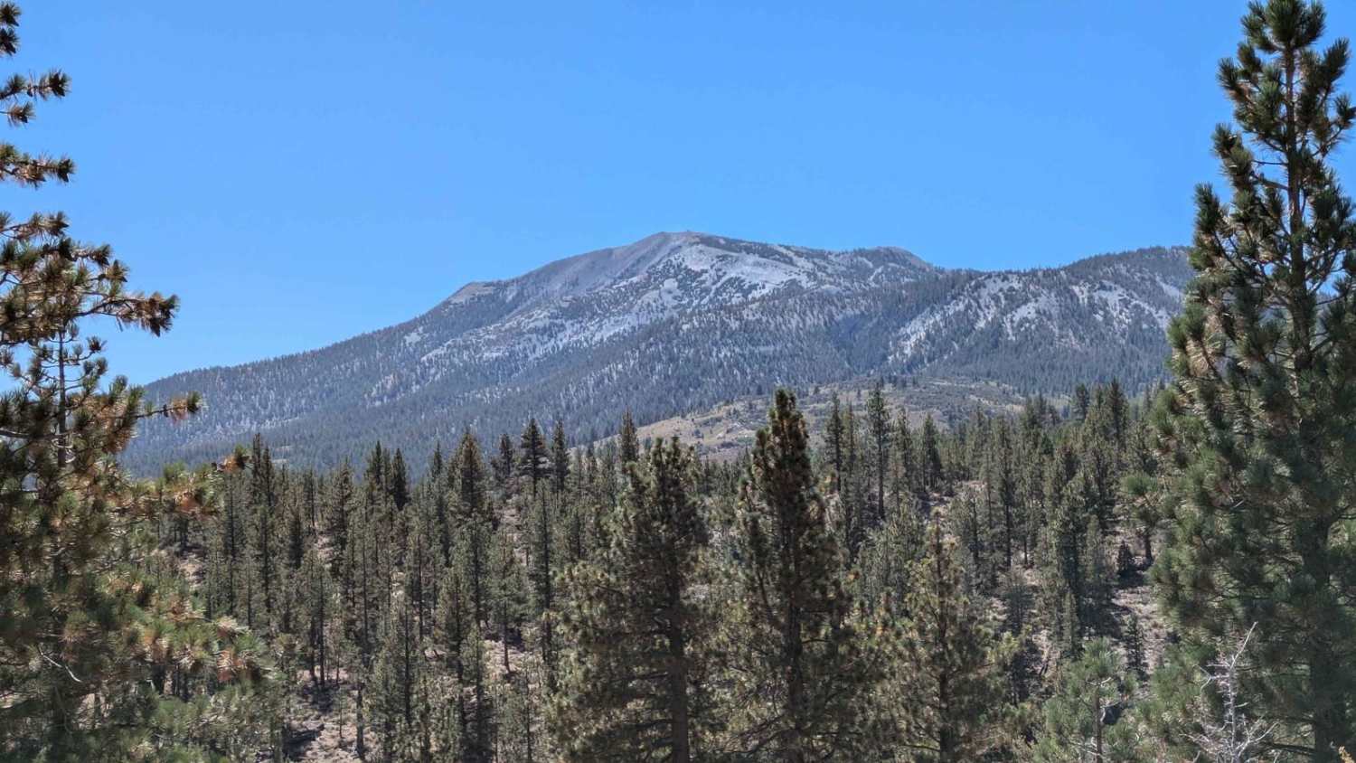 McGee Canyon Road