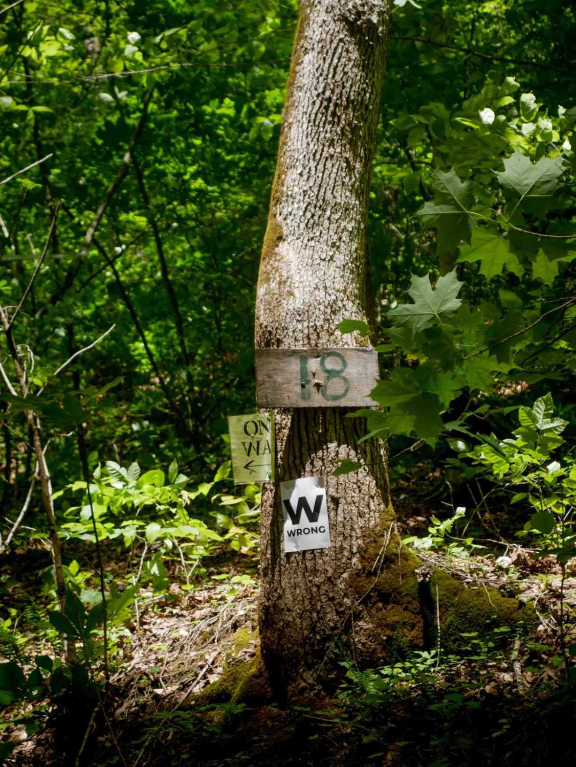 Trail 18 Crossover Section