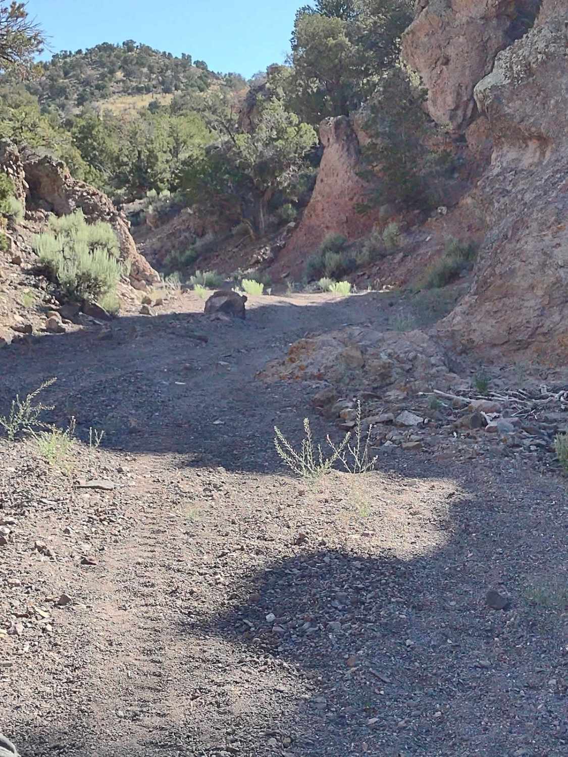 We're In A Tight Spot - BLM 5145