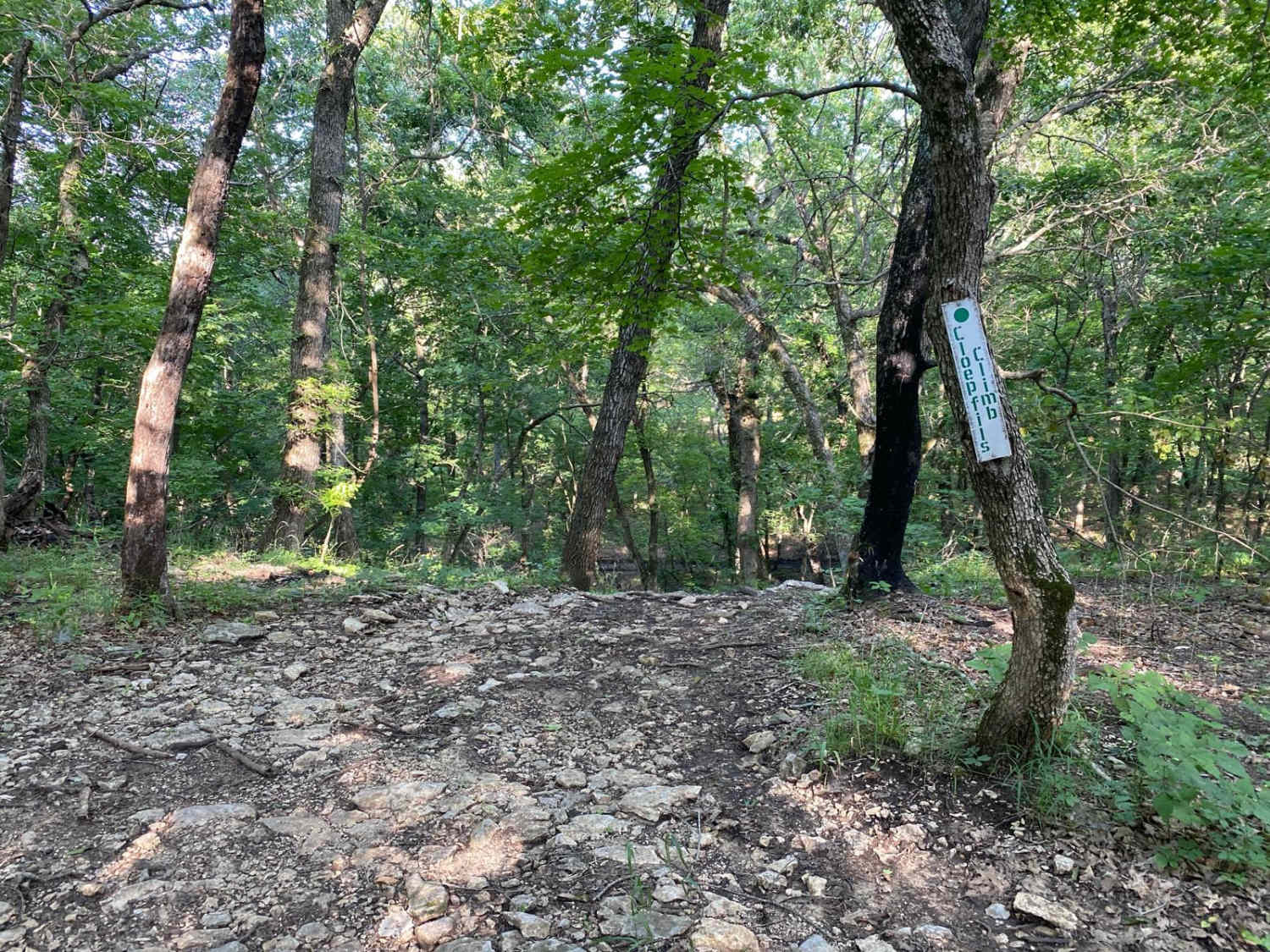 Cloepfil's Climb