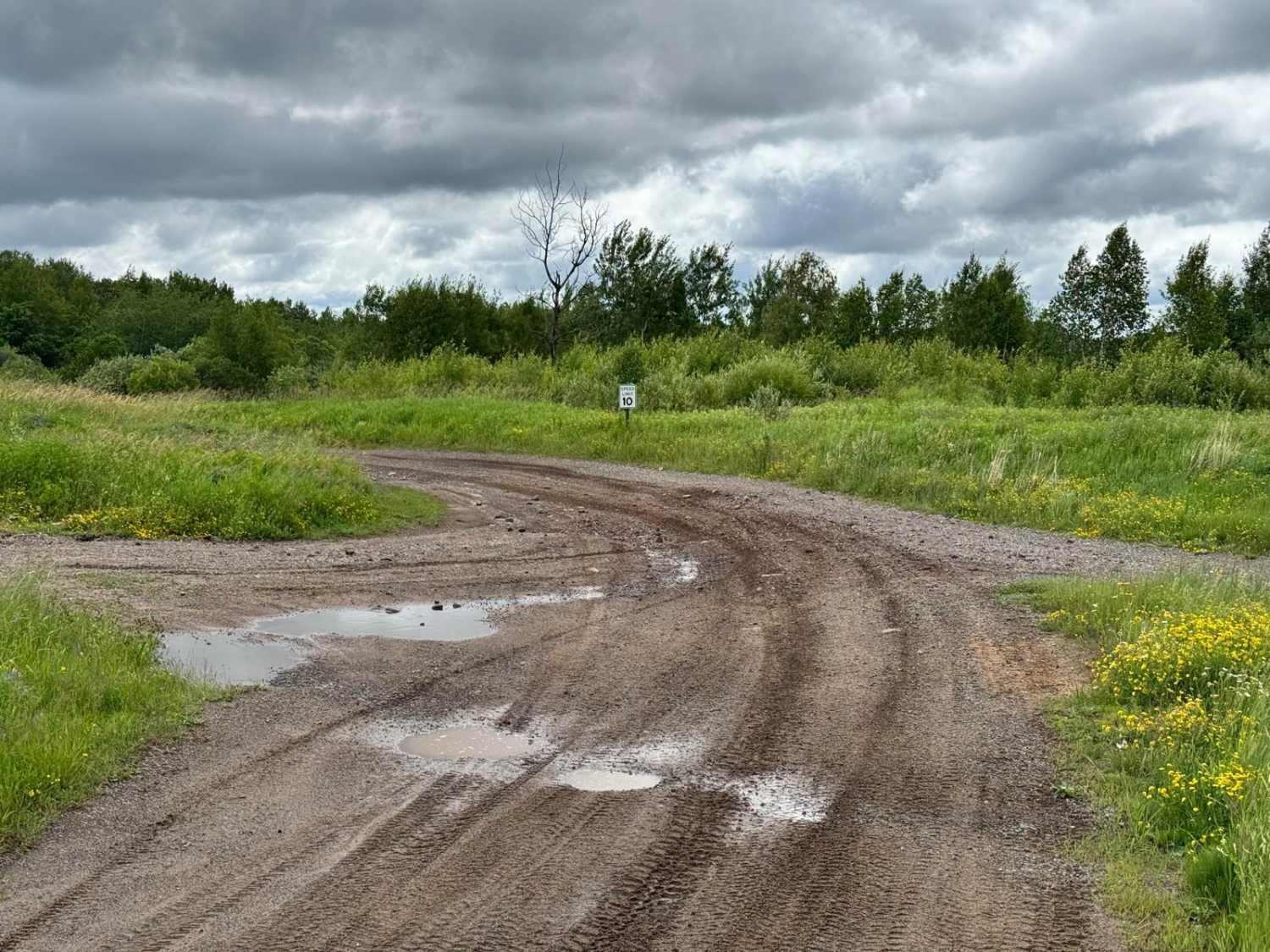 Genoa Trail