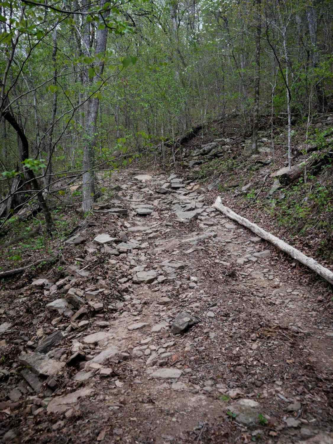 Gap Hollow Spur South 2