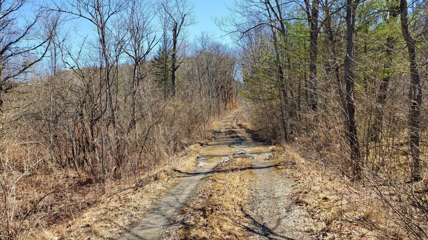 West Hill Trail