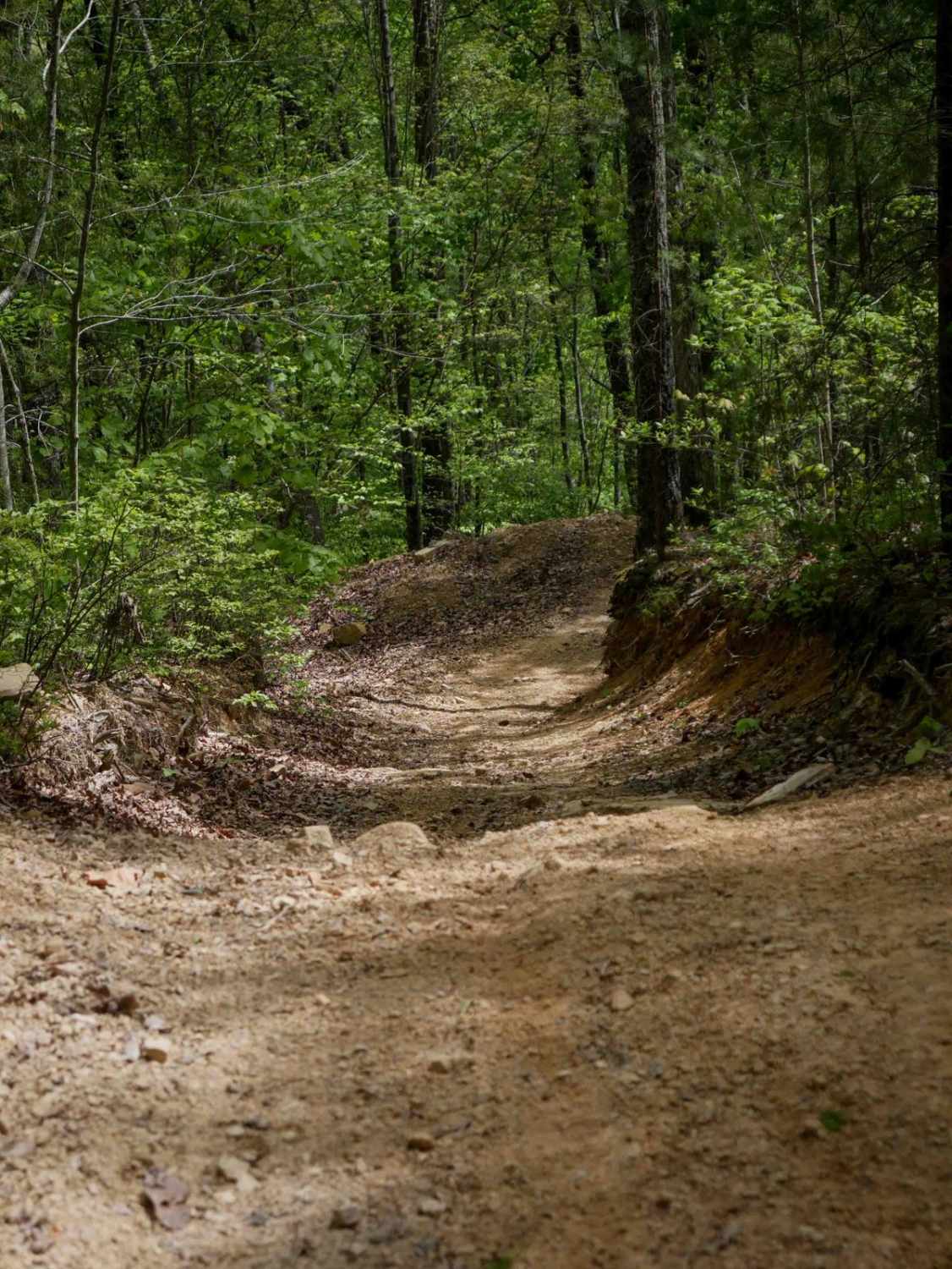 Plantation Ridge Loop