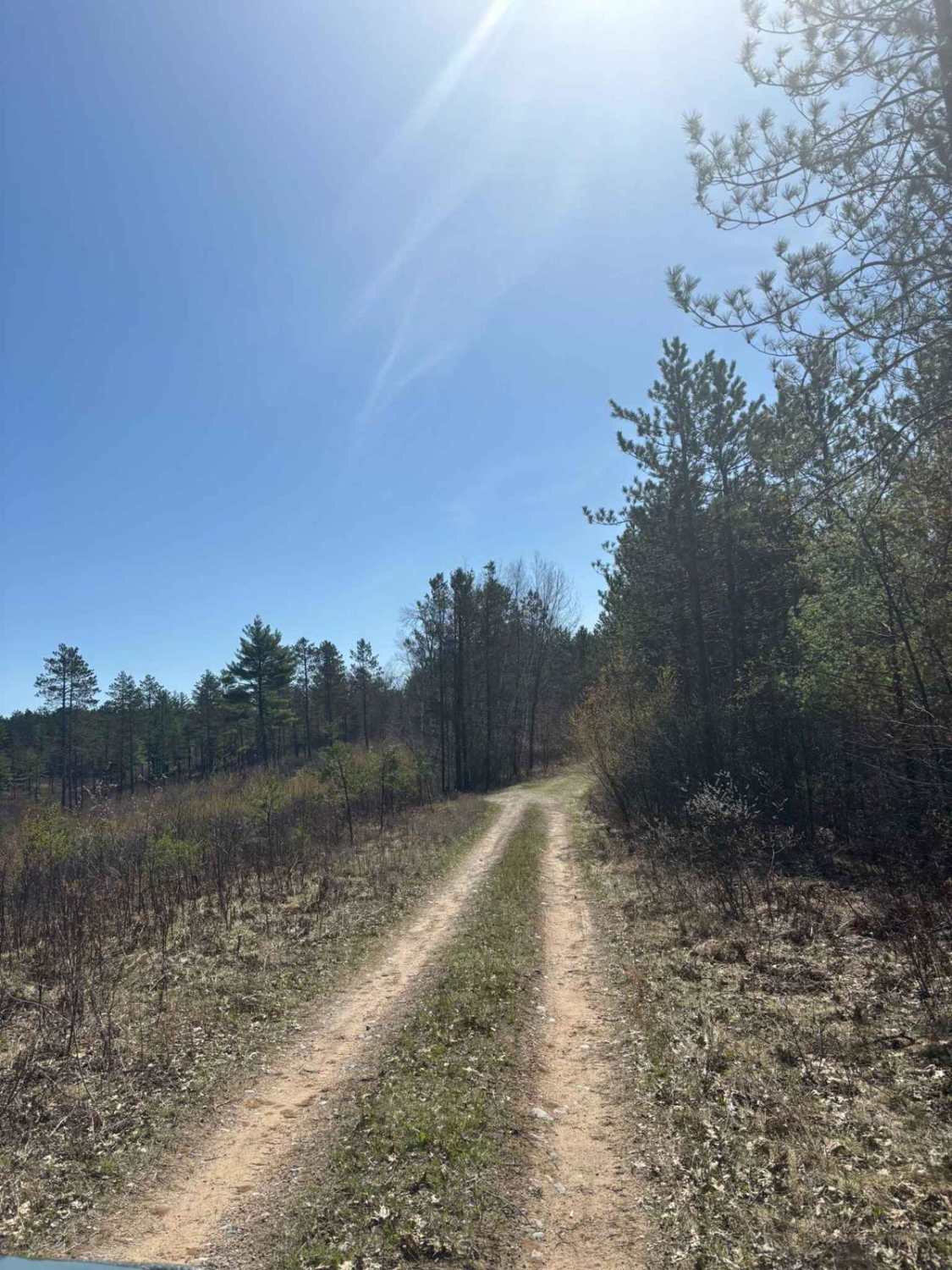 Forest Road 2073