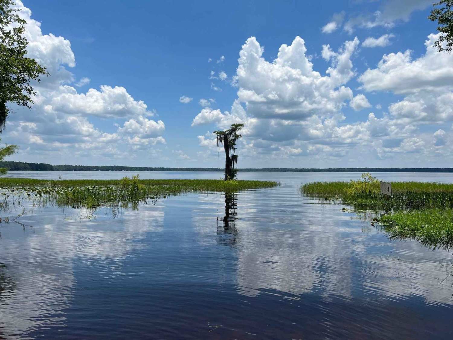 Ocean Pond Tour