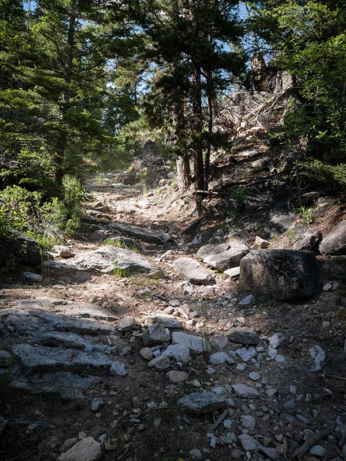Lion Gulch 