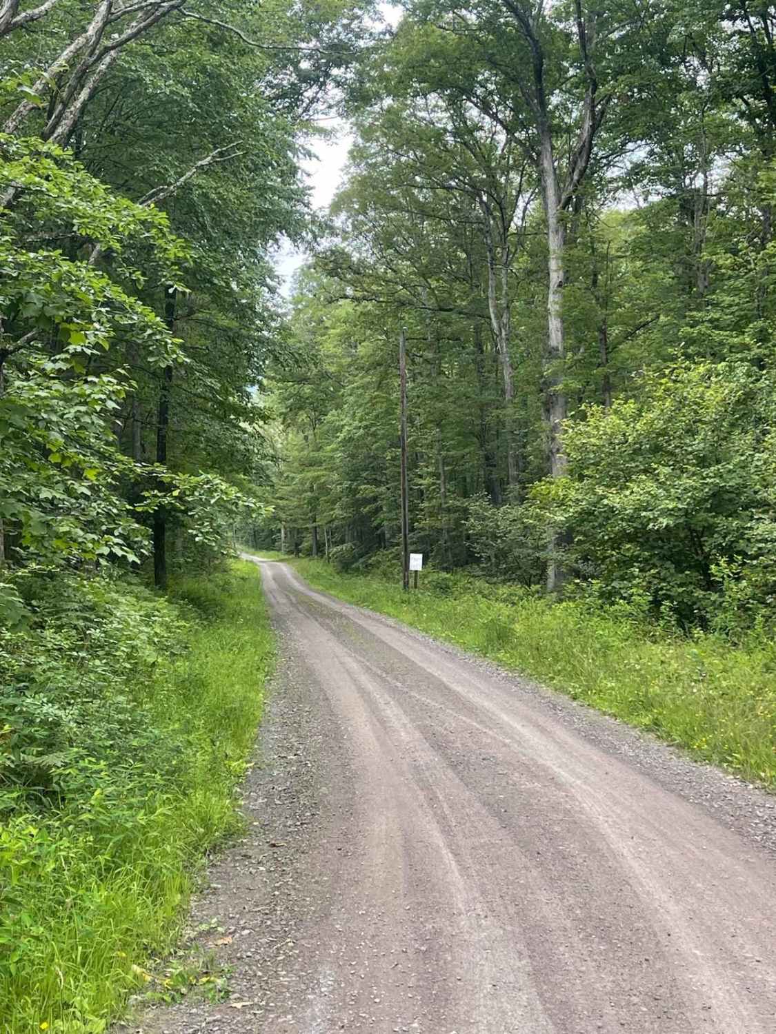 Cove Road