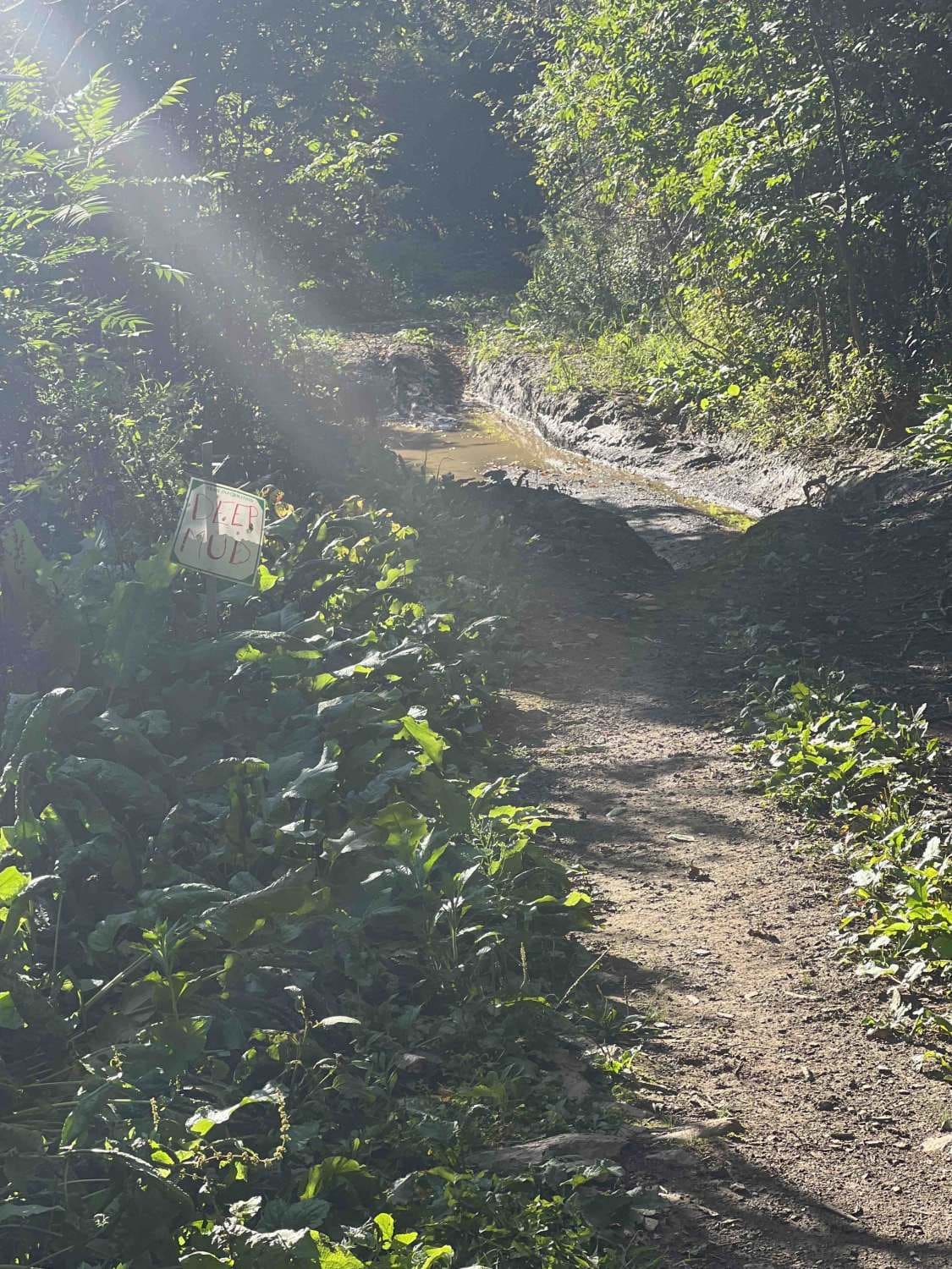 Corinna Loop Trail