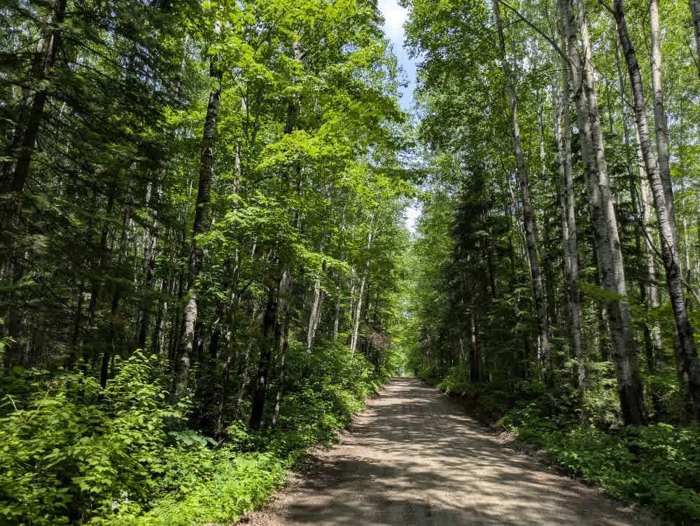 West Spider Lake Drive