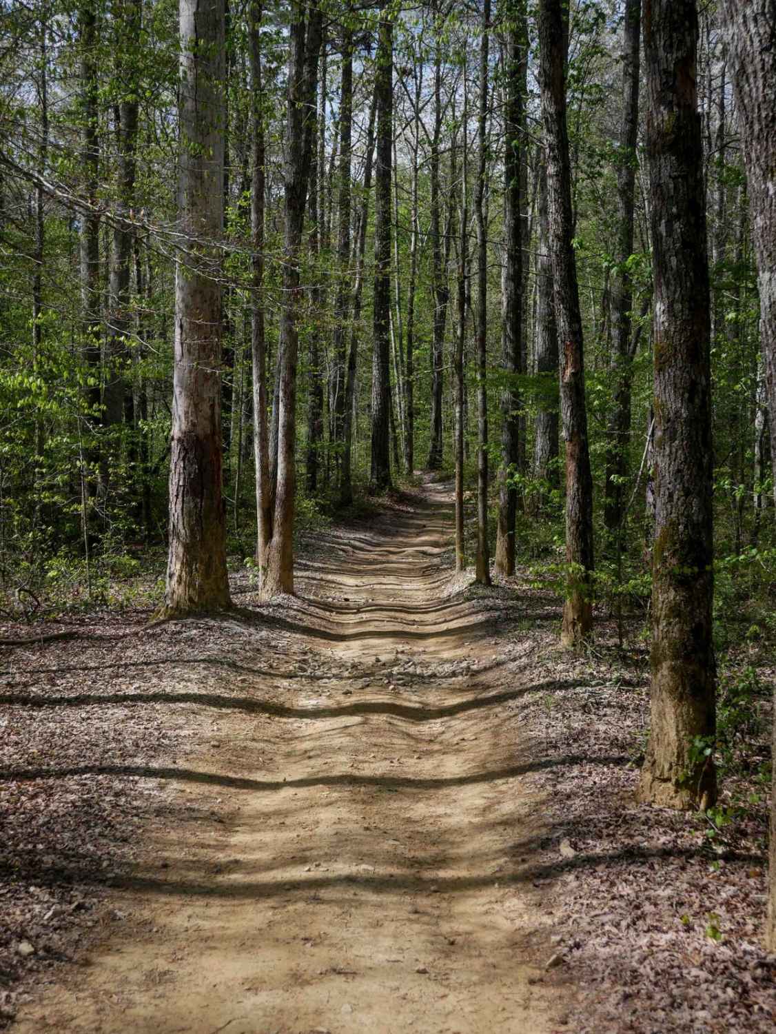 Dry Creek
