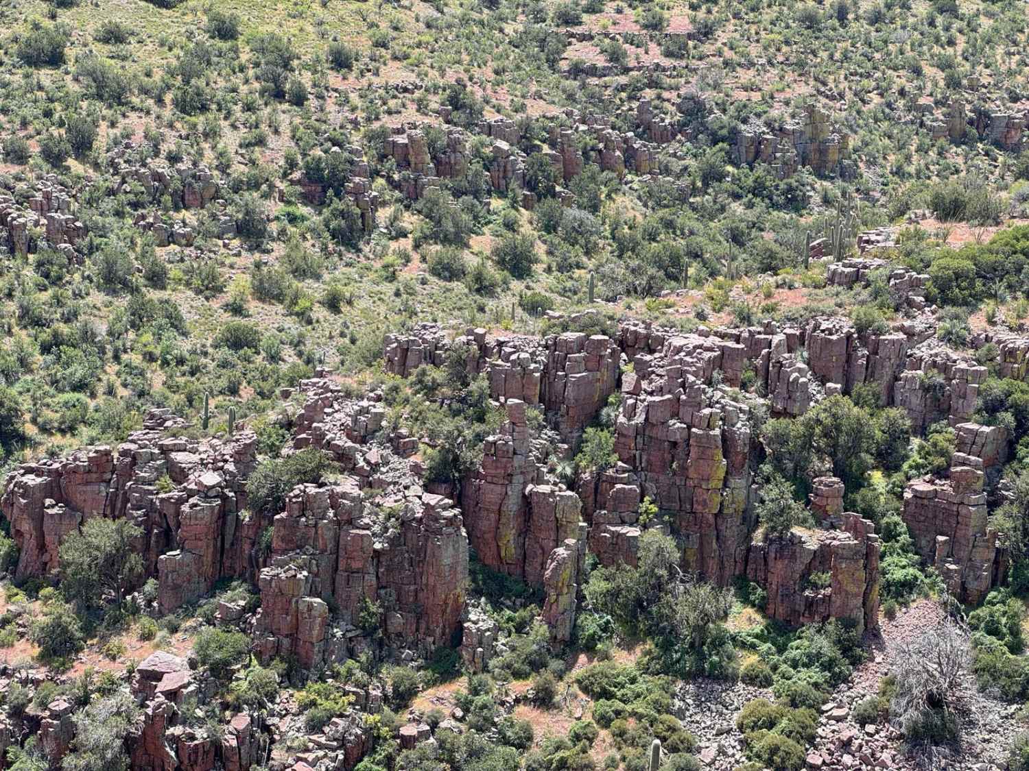 Cougar Canyon 