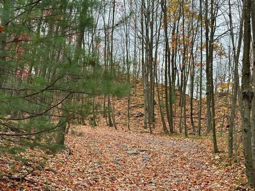 ATV Trail 23