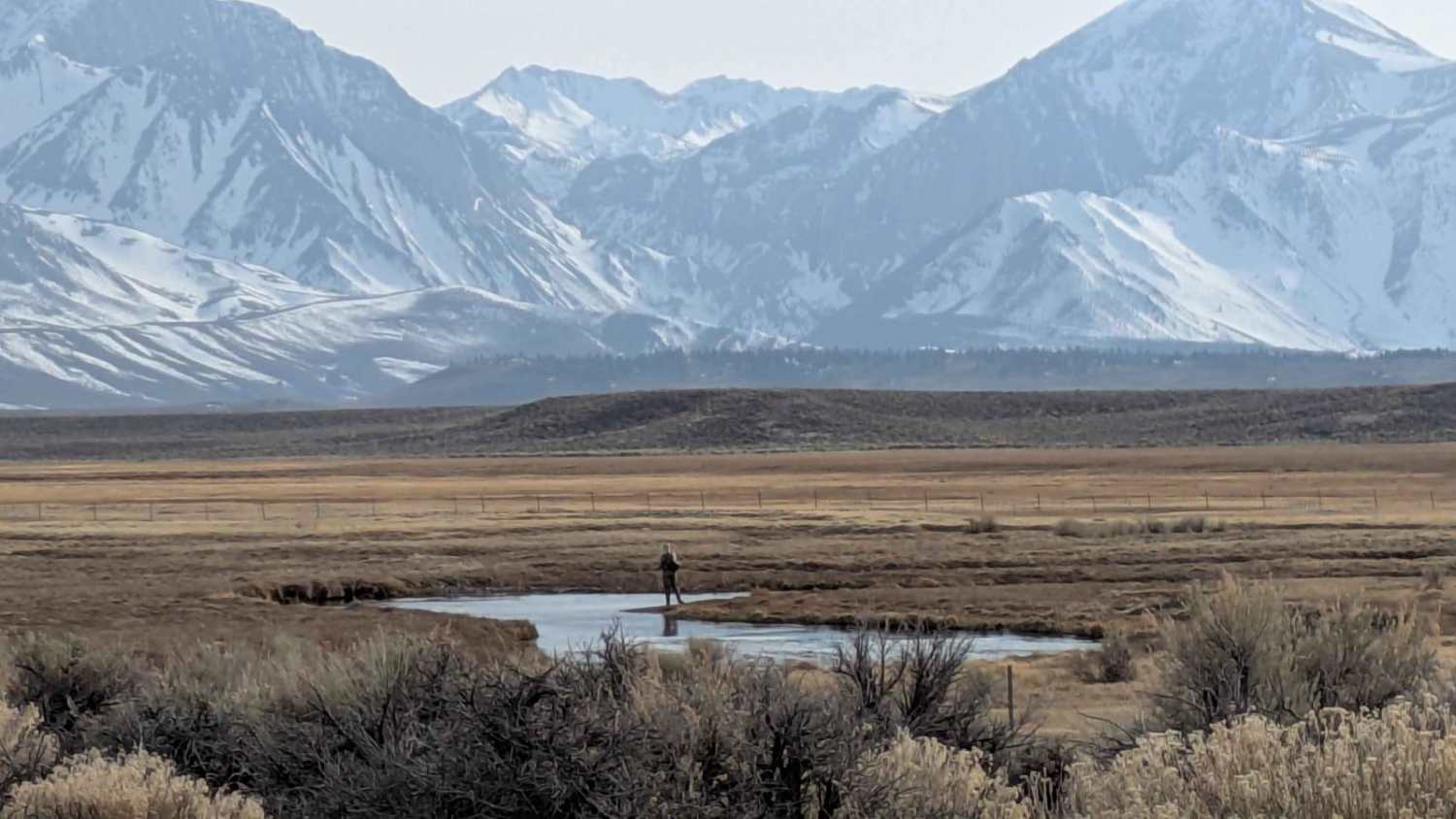 O'Harrel Cyn Spur - FS 3S47A