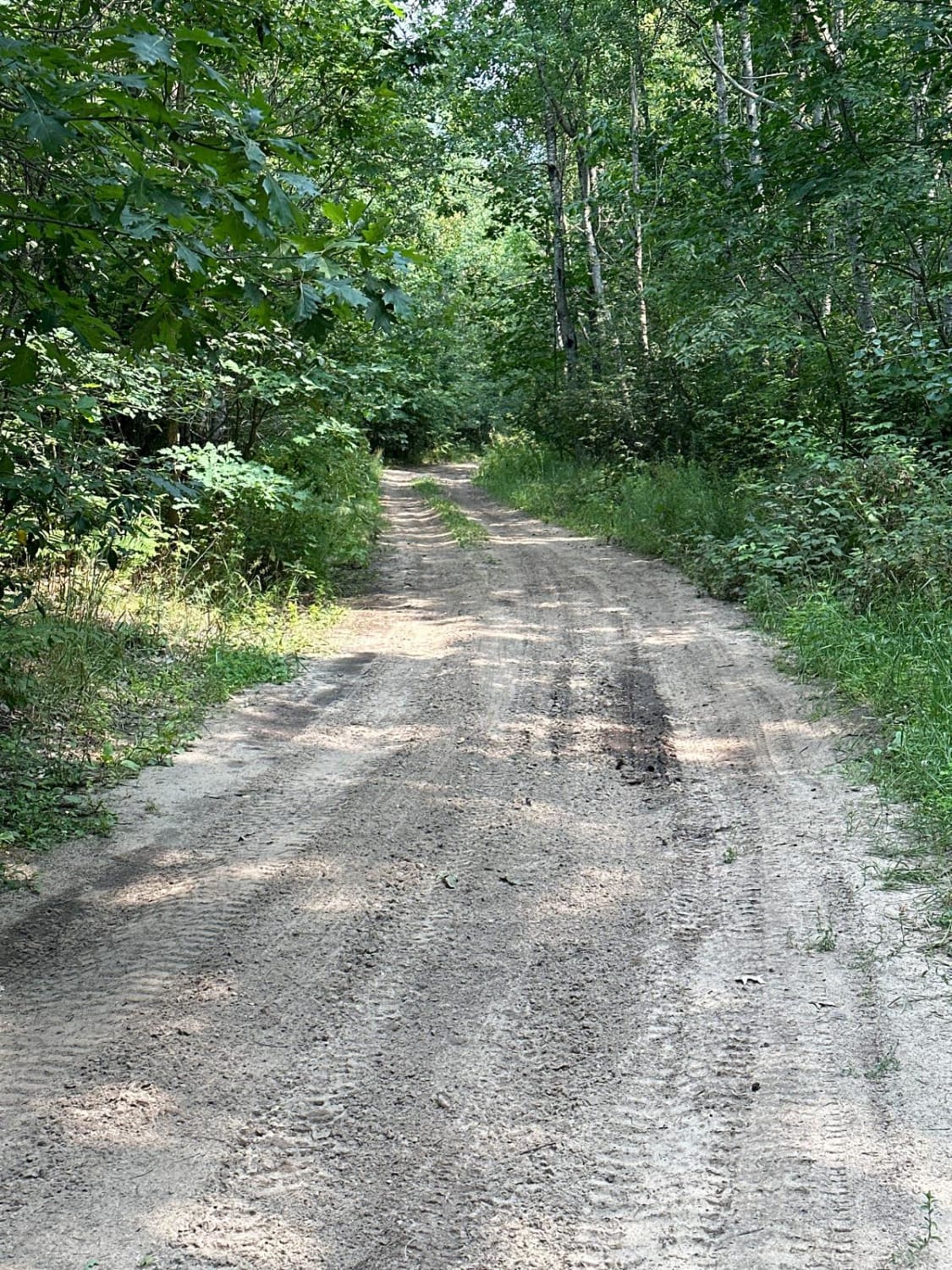 Lamb Road/Trail 39