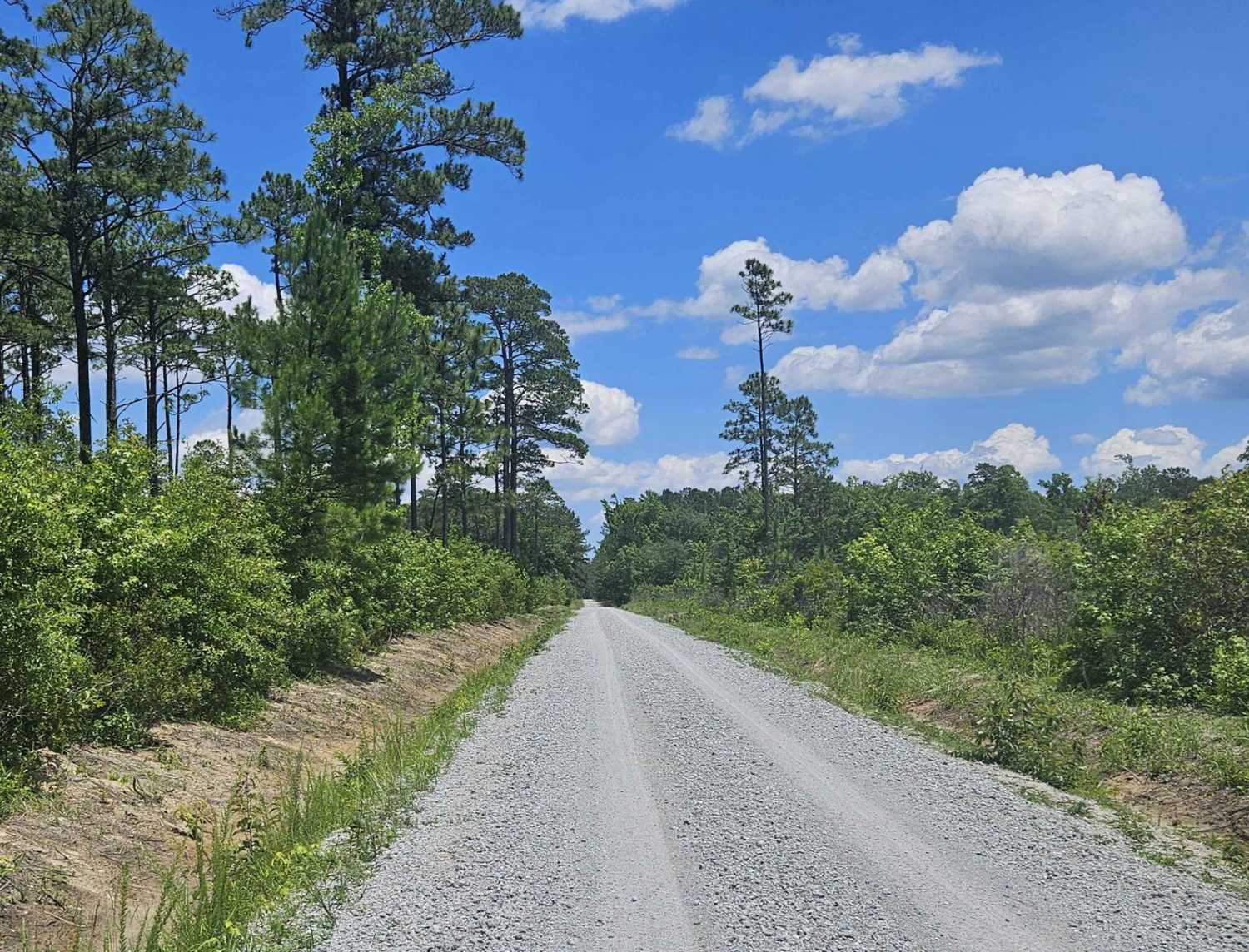 Great Lake Road (126)