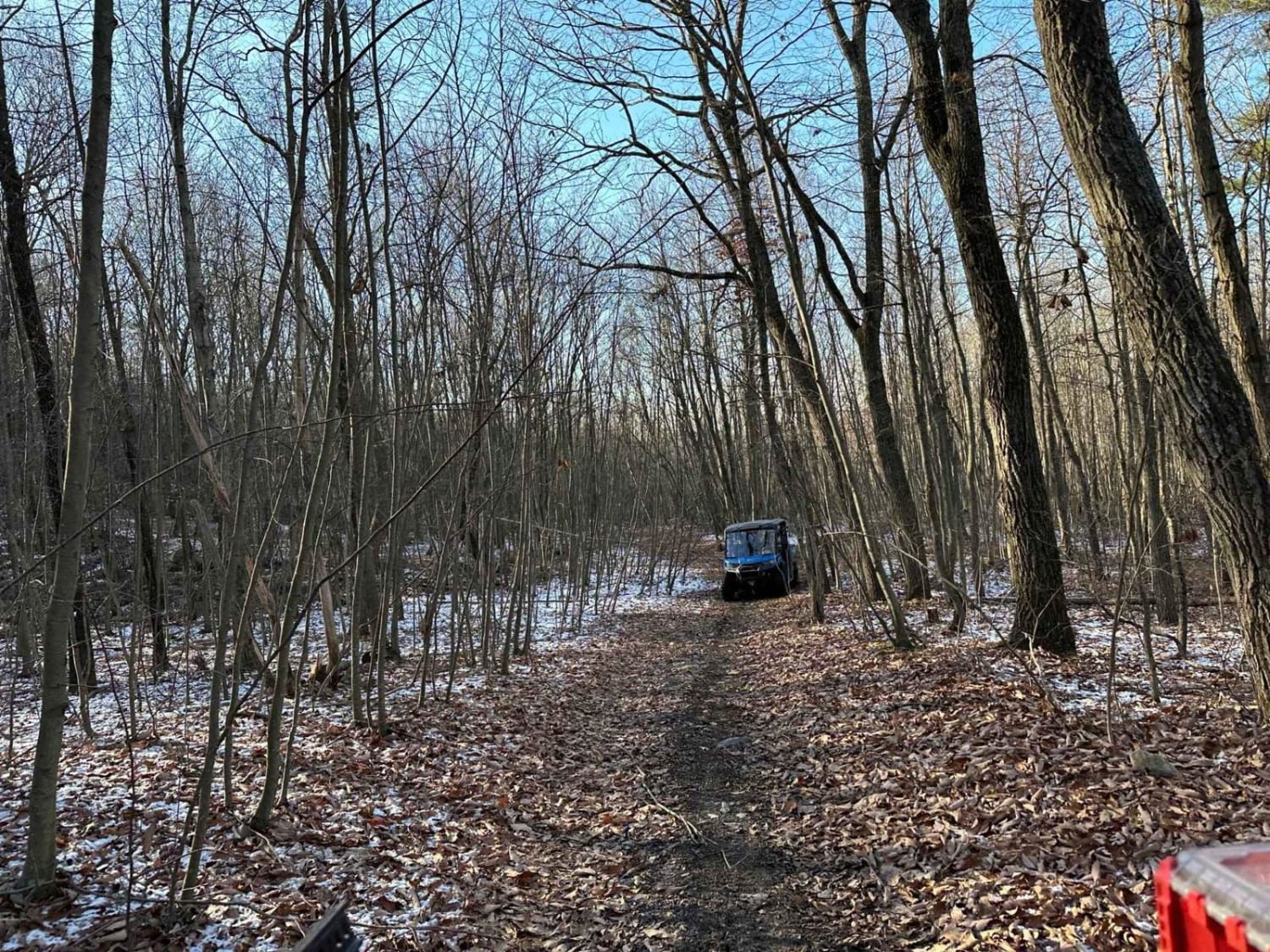 Locust Gap 67