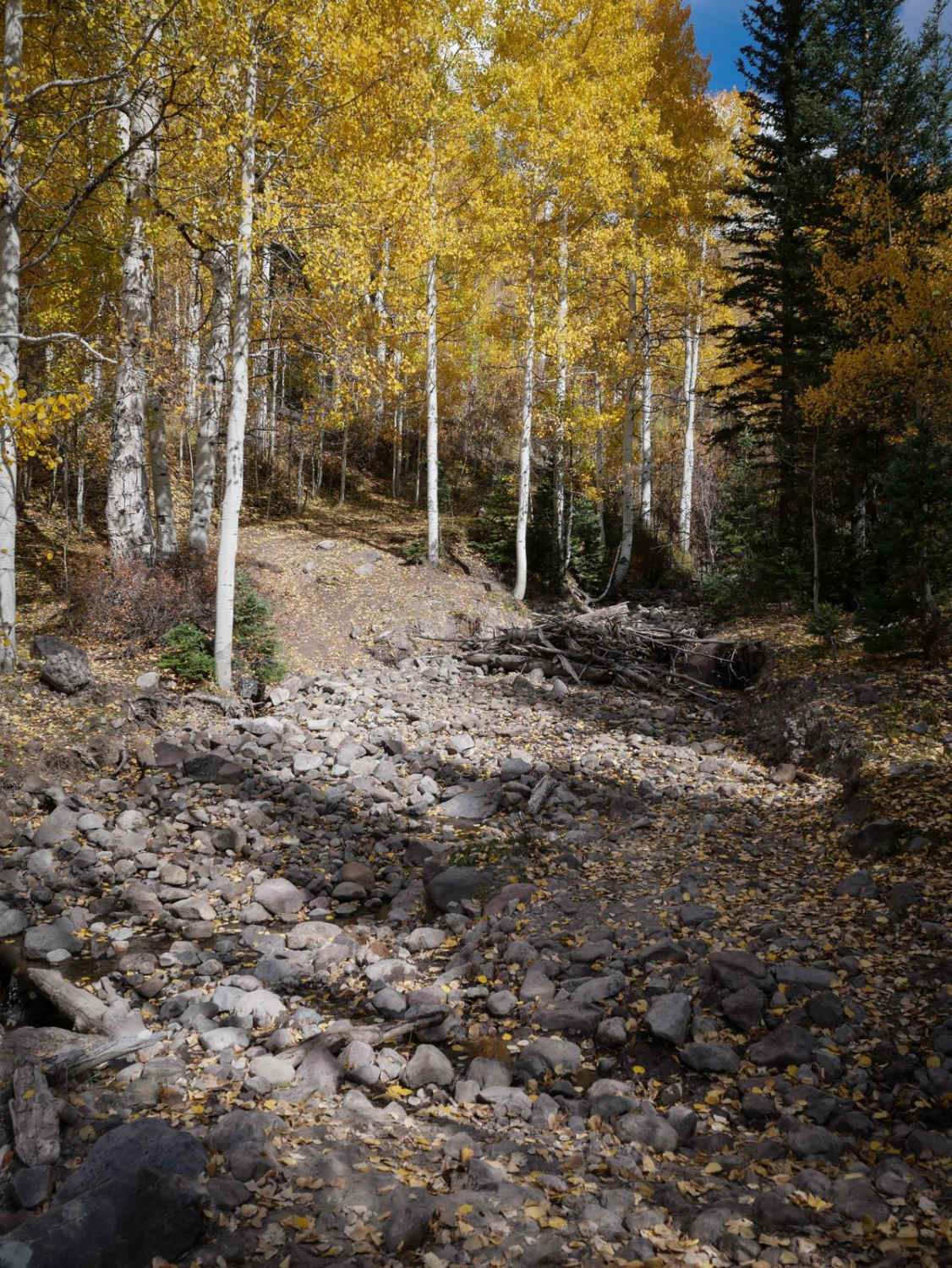 Stealey Mountain ATV 