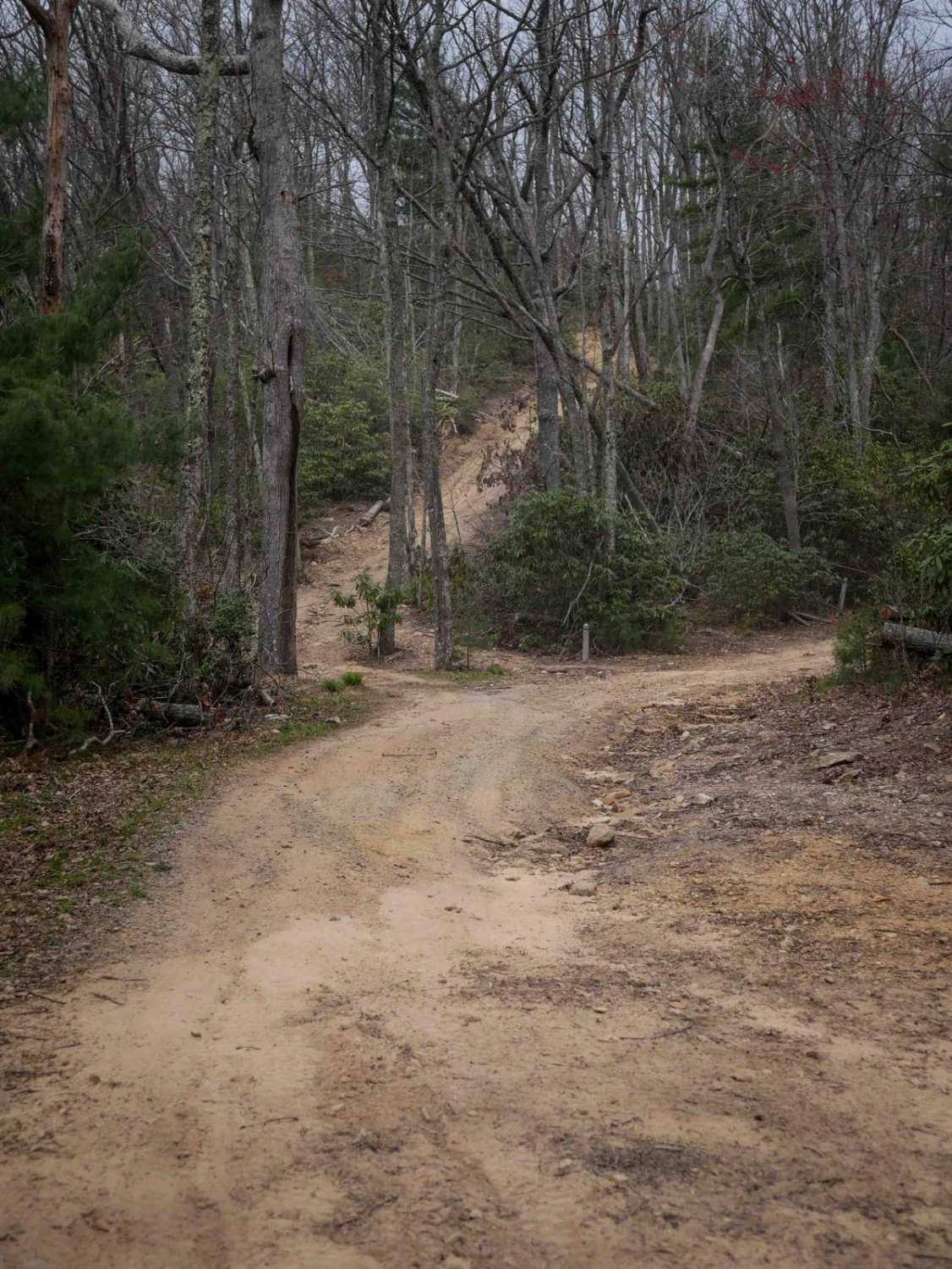 20B