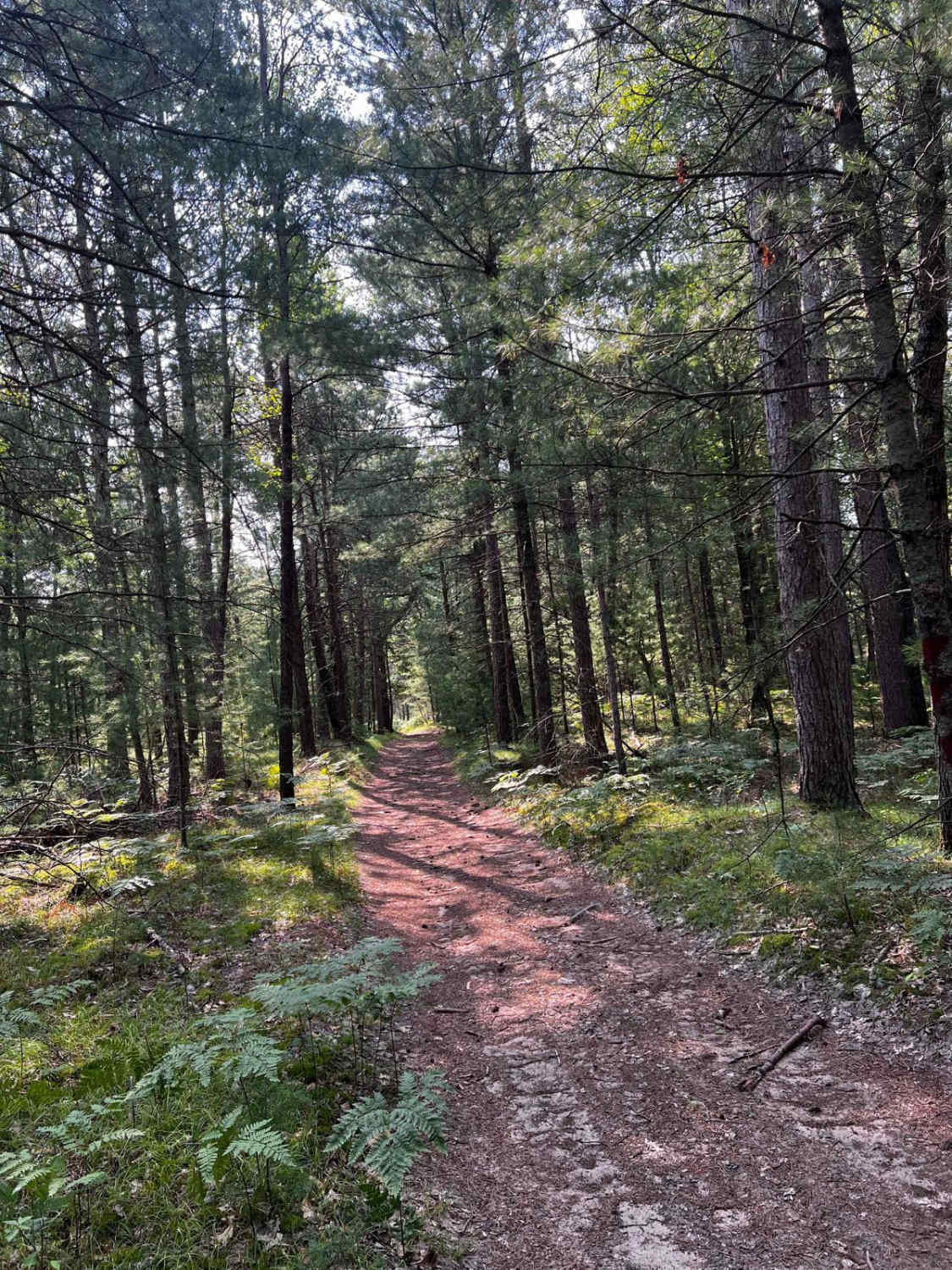 Tight Twiddler Trail