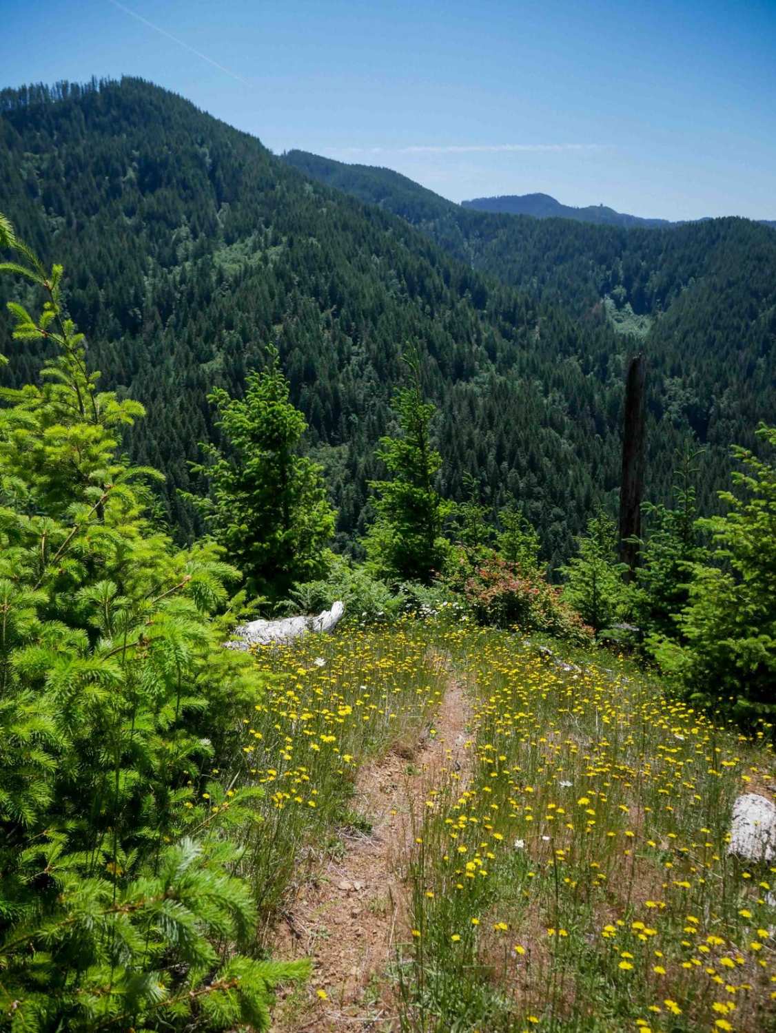 Doughboy Meets Dirt #94