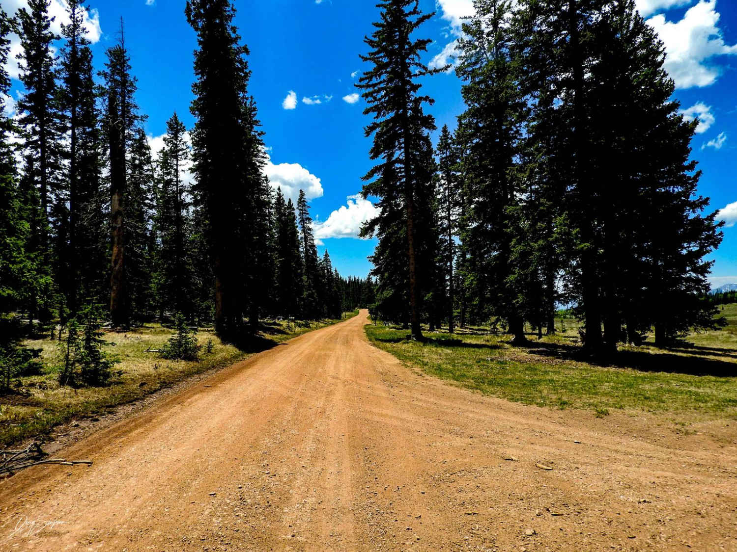 Greenhorn Mountain Road_ Forest Road 639