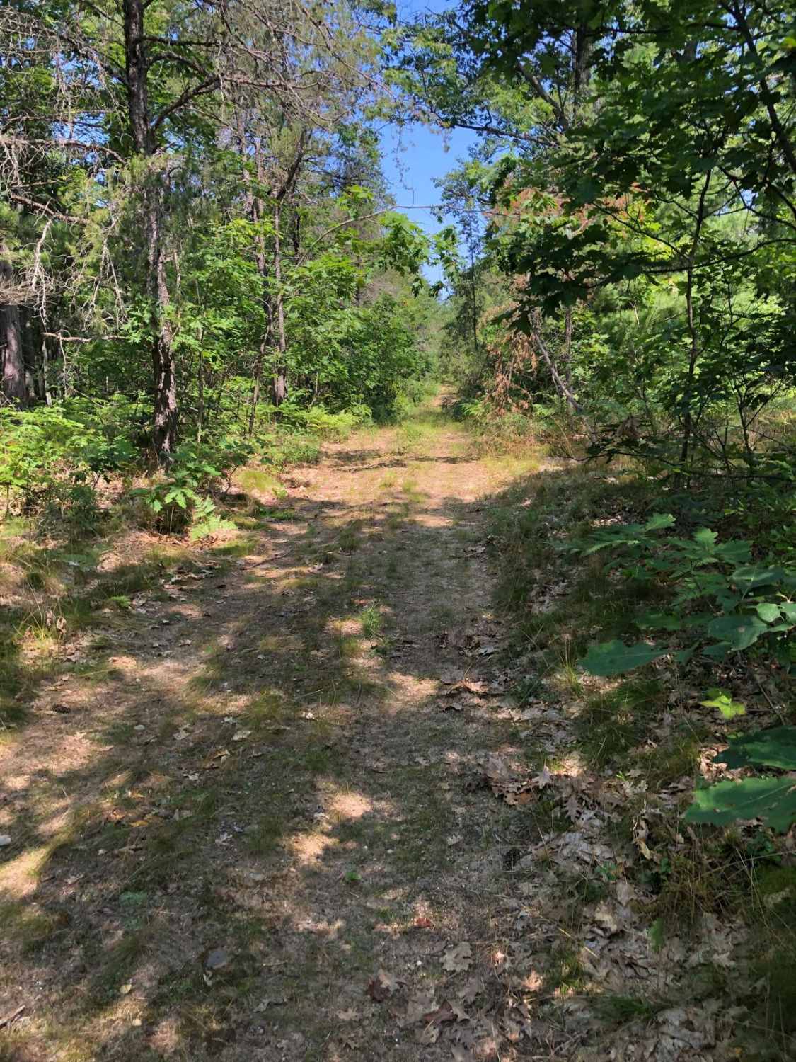 Badger Trail