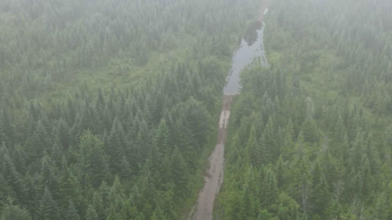 Old Springfield Pass