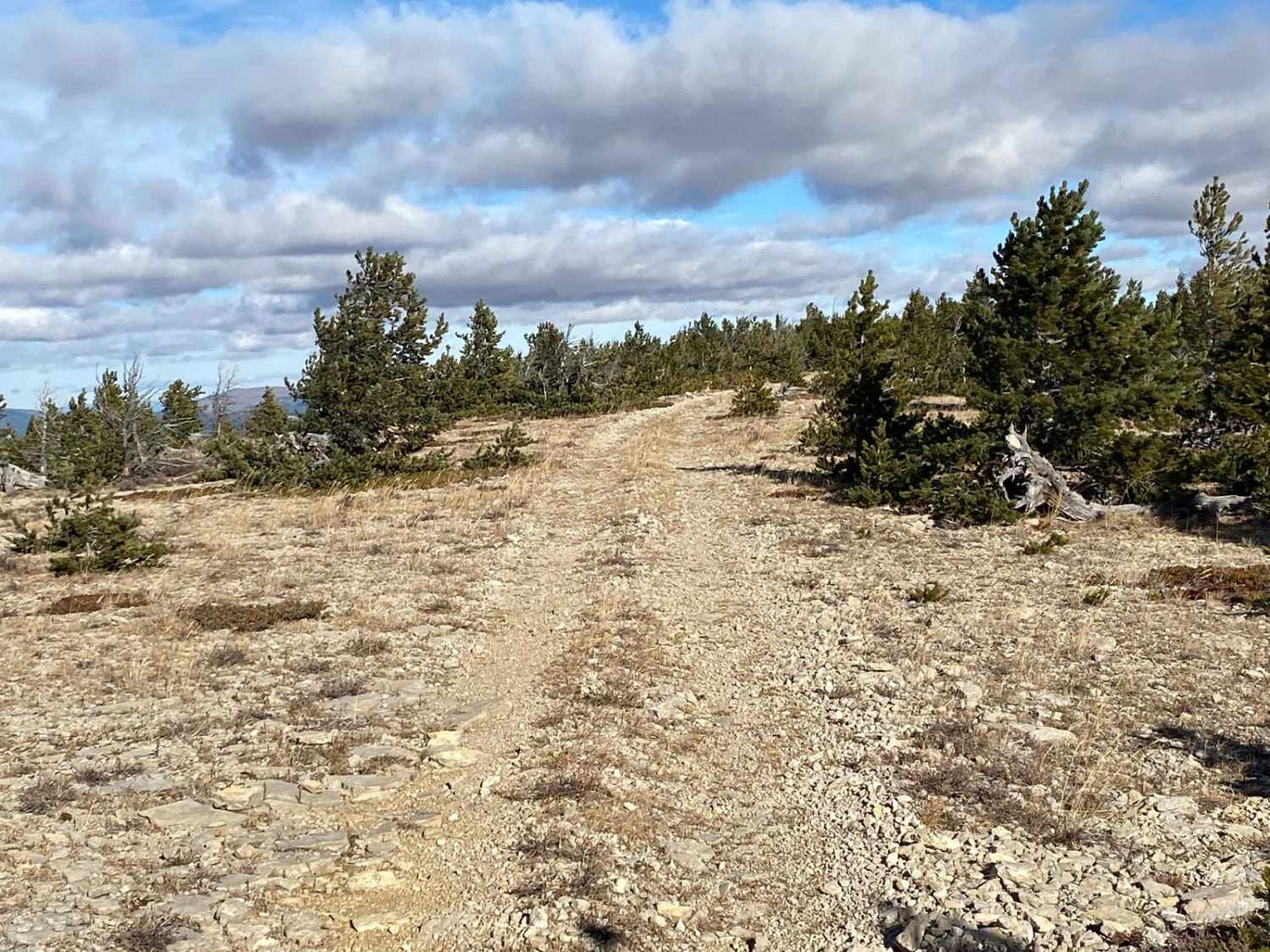 Stanford View Spur - J746
