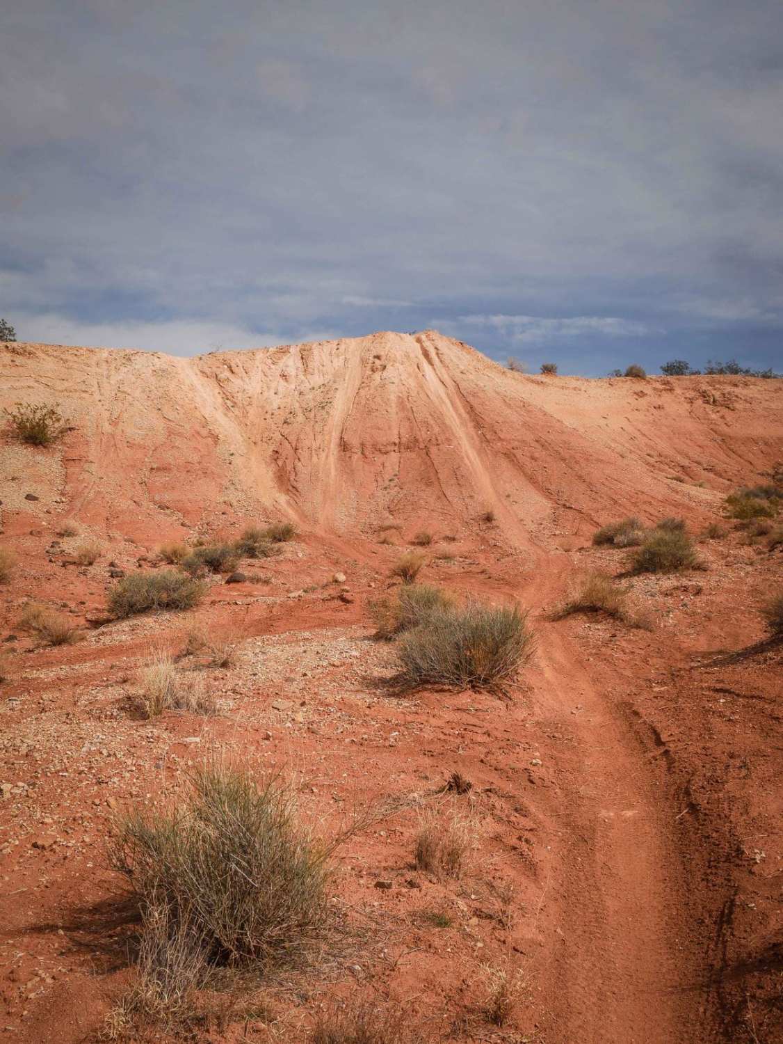 White Rocks Single Track 