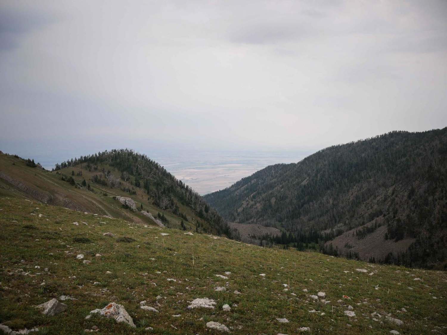 Corbly Gulch 
